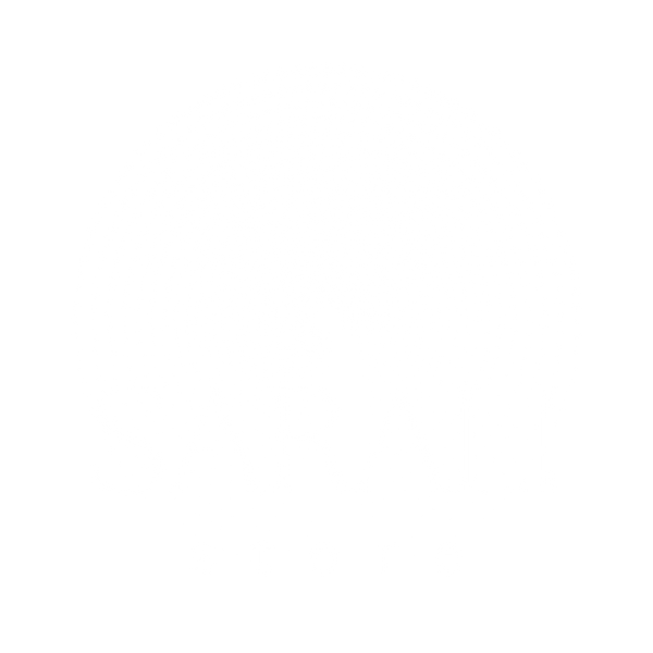 SarAli store